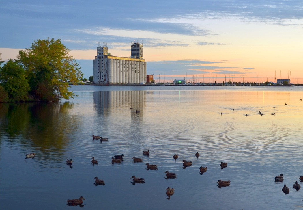 Collingwood Terminals