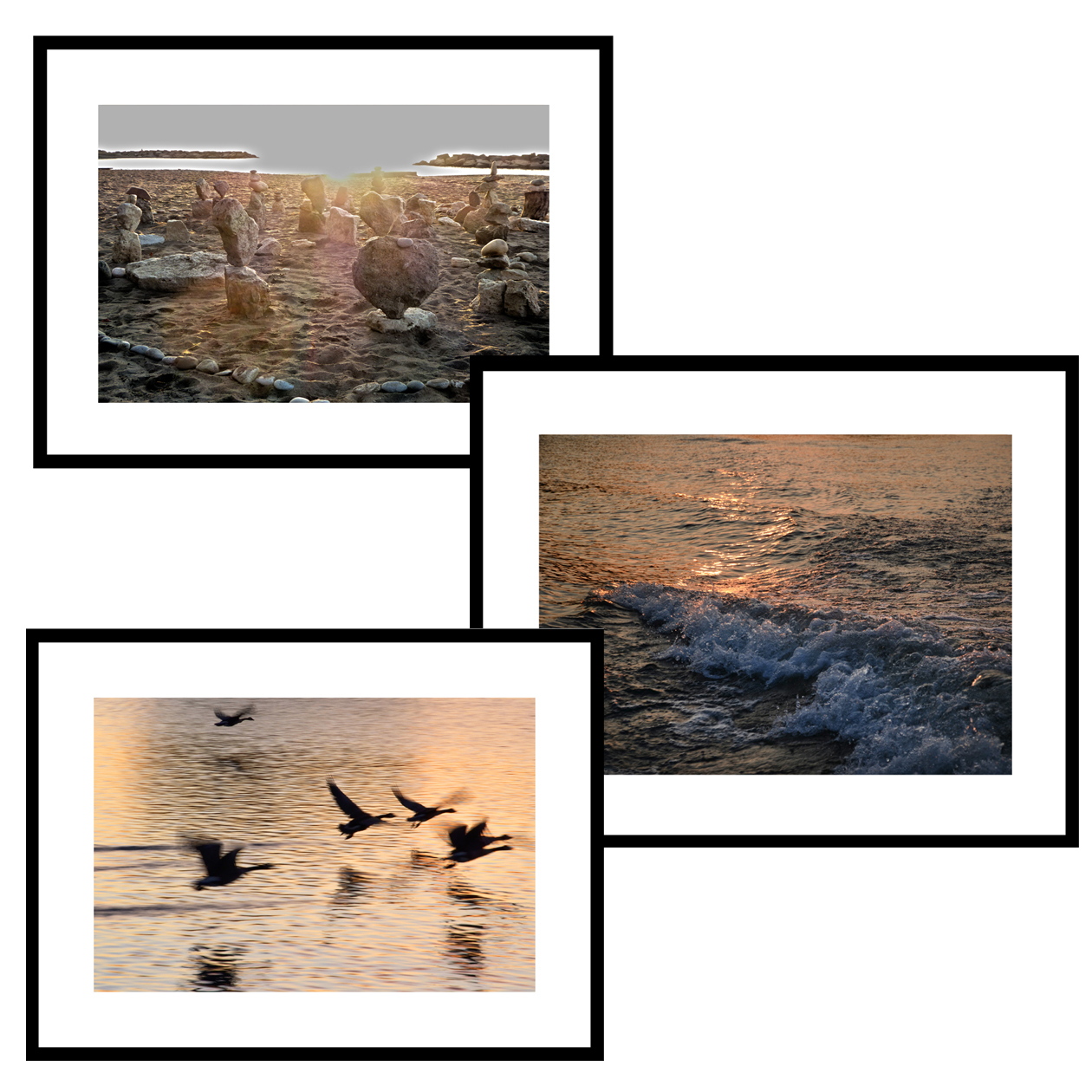 About Bonnie Fox Photography