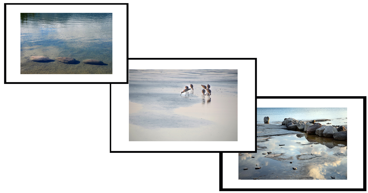 About Bonnie Fox Photography